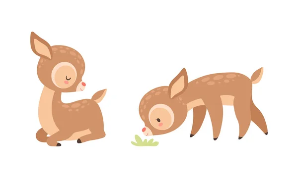 Lindo ciervo bebé con manchas como adorable mamífero con capucha sentado y hierba oliendo conjunto de vectores — Archivo Imágenes Vectoriales