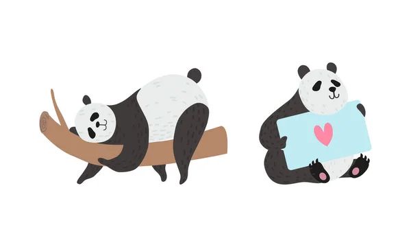 Oso Panda con Escudo Blanco y Negro y Tarjeta Rotund Body Holding y Set de Vectores para Ramas de Árboles — Vector de stock