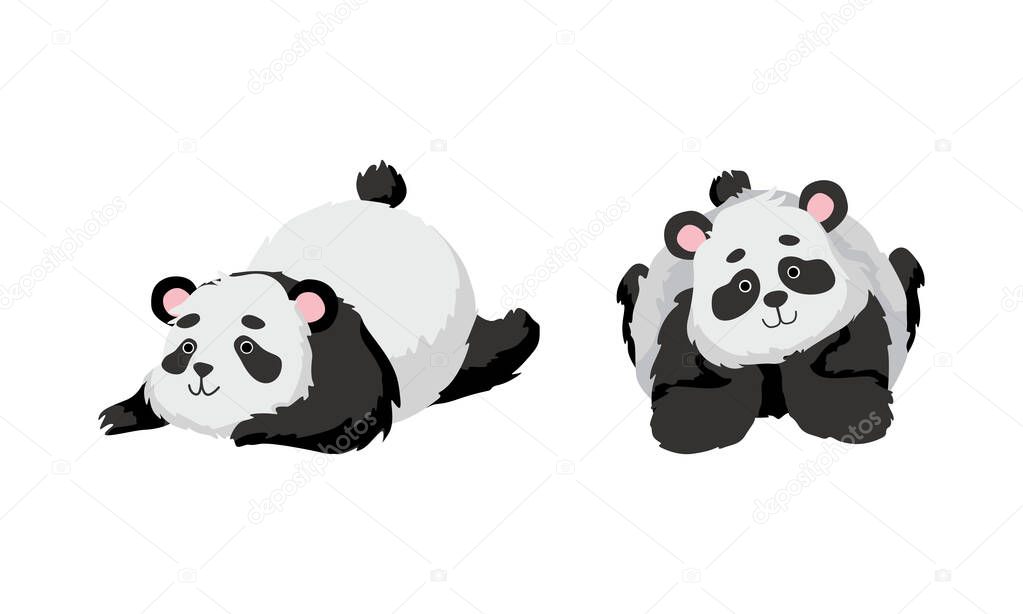 Funny Panda Bear with Black-and-white Coat and Rotund Body Lying Vector Set