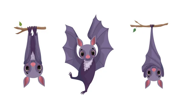 Funny Purple Bat with Cute Snout Hanging Upside Down on Tree Branch and Dancing Vector Set — Image vectorielle