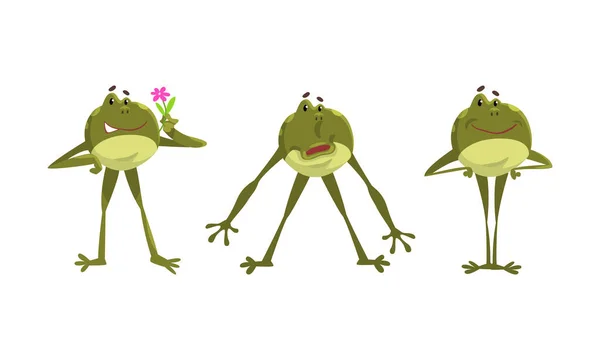 Αστείο πράσινο βάτραχος με προεξέχοντα μάτια στέκεται με τα χέρια στους γοφούς και εκμετάλλευση λουλούδι διάνυσμα σετ — Διανυσματικό Αρχείο