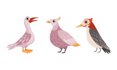 Gagalı Çene Vektörü Ayarlı Kanatlı Tüylü Aslar Olarak Kuş