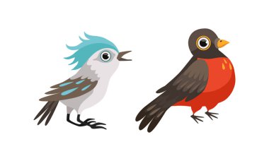 Bird as Winged Feathered Aves with Beaked Jaw Vector Set clipart