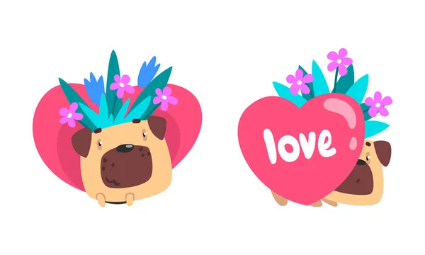 Funny Pug Dog with Flower Bouquet and Valentine Heart Vector Set — Stock Vector
