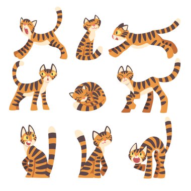 Turuncu Kürklü ve Siyah Çizgili Kucaklayan ve Oturan Vektör Kümeli Kaplan Karakteri