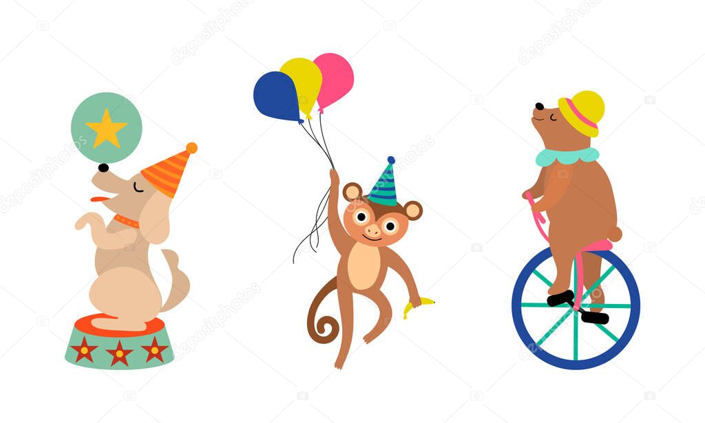 Circus Bear and Monkey Animal Performing Trick Riding Unicycle and Holding Bunch of Balloons Vector Set