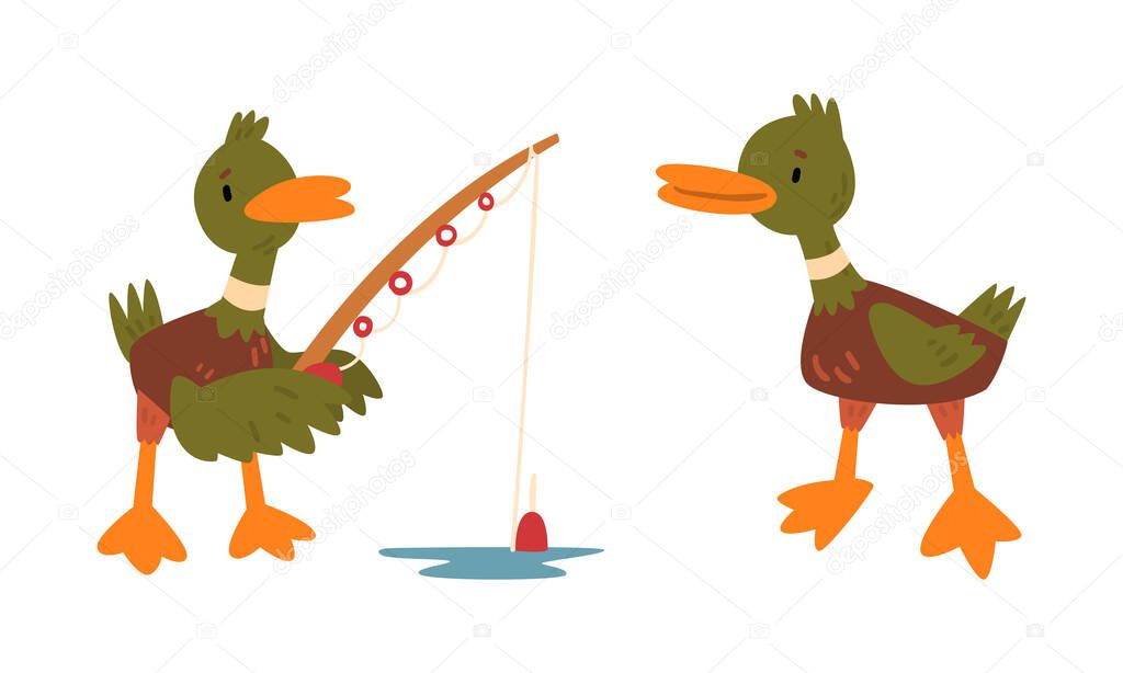 Male Mallard Duck with Orange Bill Standing with Fishing Rod Catching Fish Vector Set