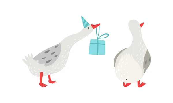 ( 영어 ) Grey Goose Character in Birthday Hat Carrying Gift Box Vector Set — 스톡 벡터