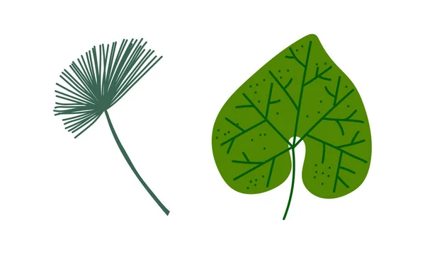 Feuille verte tropicale sur tige comme ensemble vecteur exotique de flore et de feuillage — Image vectorielle