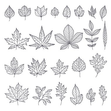 El Çizimi Sonbahar Konferansı veya Taslak Vektör Ayarları