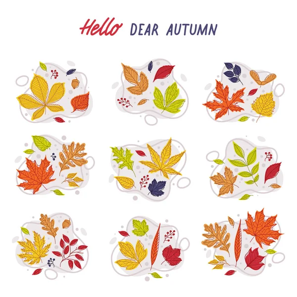 Follaje brillante del otoño con diverso sistema de la composición del vector del color de la hoja — Vector de stock