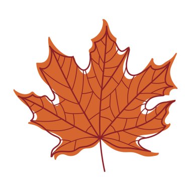 Kök Vektör Resimlerinde Mevsimsel Yaprak olarak Damarlı Kırmızı Sonbahar Akçaağaç Yaprağı