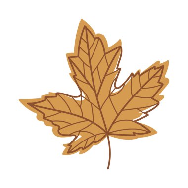 Kahverengi Sonbahar Akçaağaç Yaprağı Kök Vektör Resimlerinde Mevsimsel Yaprak Damarlarıyla