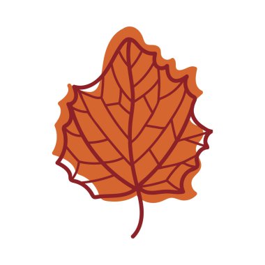 Kök Vektör Resimlerinde Mevsimsel Yaprak olarak Damarlı Kırmızı Sonbahar Yaprağı