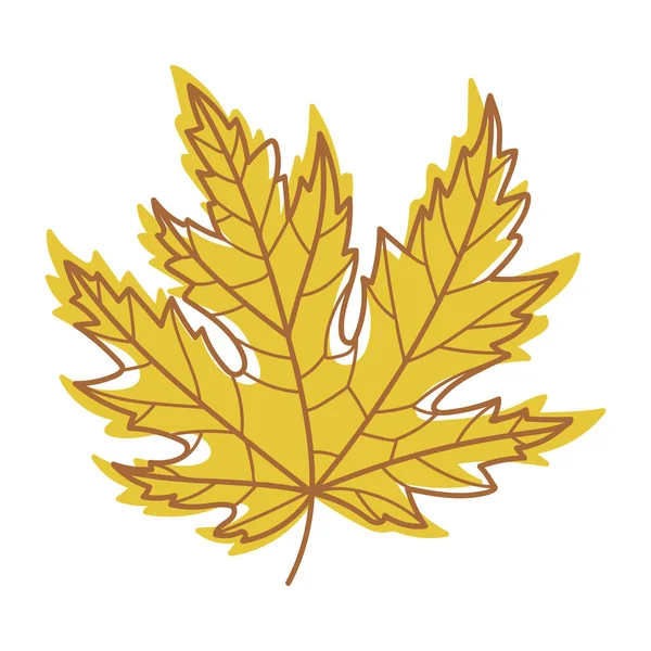 Žlutý podzimní javorový list s žilkami jako sezónní listoví na stonku vektorové ilustrace — Stockový vektor