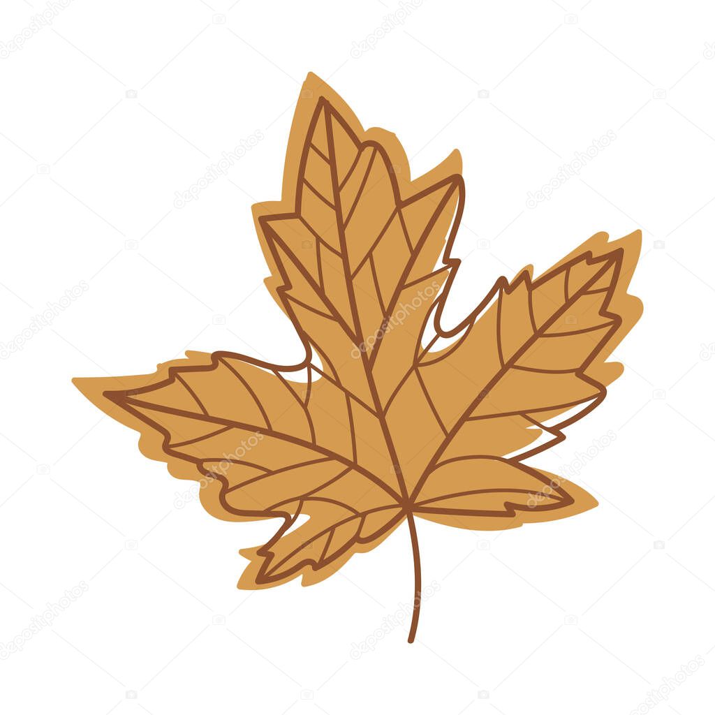 Brown Autumn Maple Leaf with Veins as Seasonal Foliage on Stem Vector Illustration