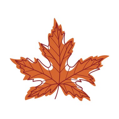 Kök Vektör Resimlerinde Mevsimsel Yaprak olarak Damarlı Kırmızı Sonbahar Yaprağı