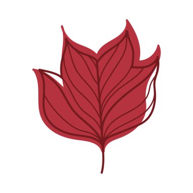 Kök Vektör Resimlerinde Mevsimsel Yaprak olarak Damarlı Kırmızı Sonbahar Yaprağı