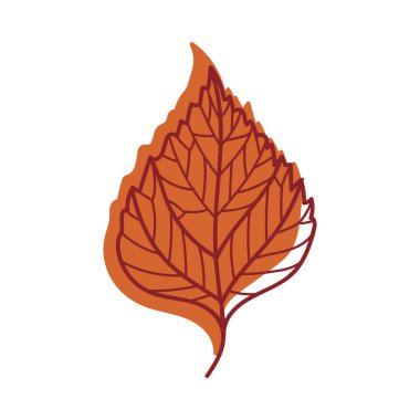 Kök Vektör Resimlerinde Mevsimsel Yaprak olarak Damarlı Kırmızı Sonbahar Ağaç Yaprağı