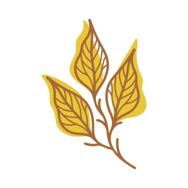 Damarlı Sarı Sonbahar Yaprağı Kök Vektör İllüstrasyonunda Mevsimsel Yaprak