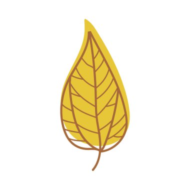 Damarlı Sarı Sonbahar Yaprağı Kök Vektör İllüstrasyonunda Mevsimsel Yaprak