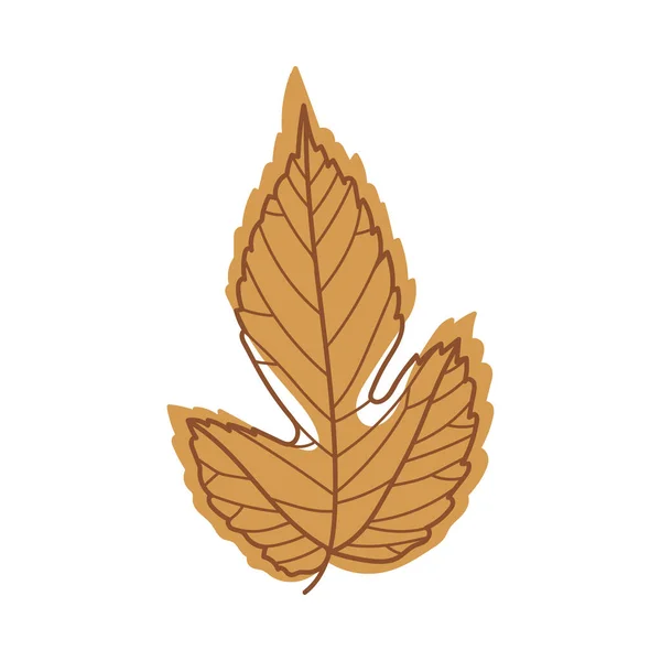 Brown Autumn Leaf with Veins as Seasonal Foliage on Stem Vector Illustration — Stock Vector