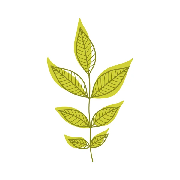 Green Autumn Leaf with Veins as Seasonal Foliage on Stem Vector Illustration — Stock Vector