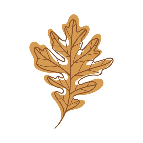Brown Autumn Oak Leaf with Veins as Seasonal Foliage on Stem Vector Illustration — Stock Vector