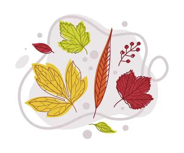 Jesienny jasny liść o różnym składzie wektora koloru liści — Wektor stockowy