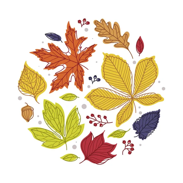 Round Shape with Bright Autumn Foliage of Different Leaf Color Vector Arrangement — Stock Vector