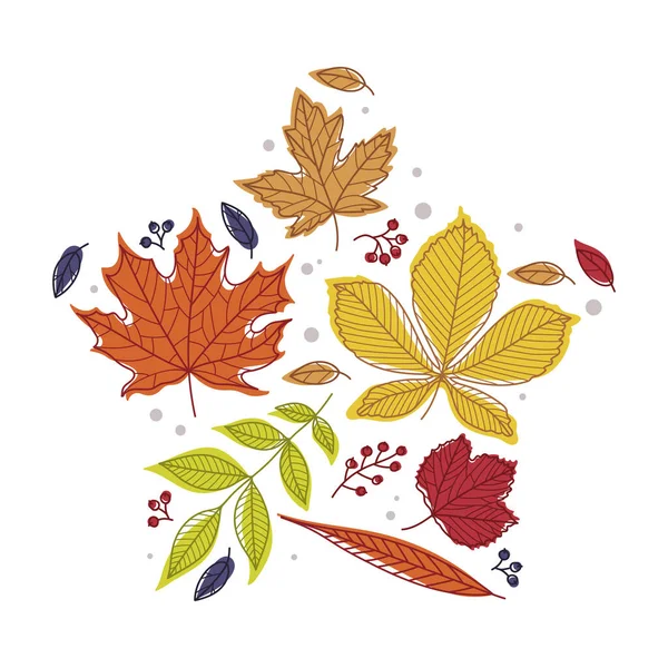 Star Shape with Bright Autumn Foliage of Different Leaf Color Vector Arrangement — Stock Vector