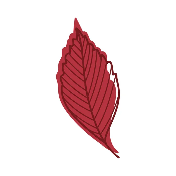 Hoja roja de otoño con venas como follaje estacional en la ilustración vectorial del tallo Vectores de stock libres de derechos