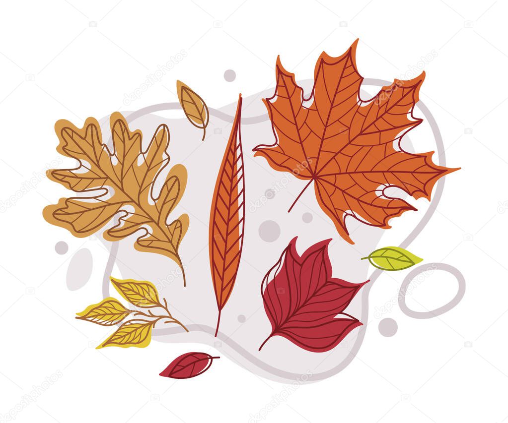 Autumn Bright Foliage with Different Leaf Color Vector Composition