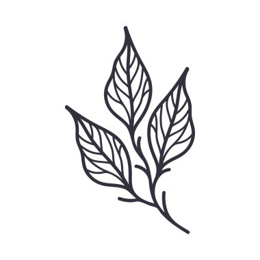 El Yazması Güz Yaprağı Kongresi ya da Taslak Vektör İllüstrasyonu