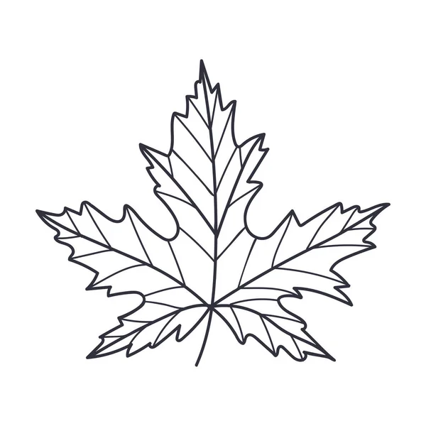 Ručně kreslené podzimní javorový list obrys nebo obrys vektorové ilustrace — Stockový vektor
