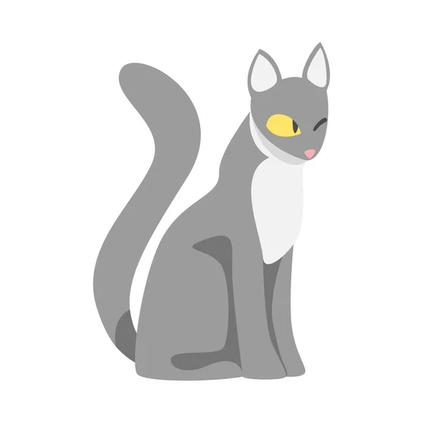 Gatto grigio con cappotto liscio come peloso domestico animale domestico vettoriale illustrazione — Vettoriale Stock