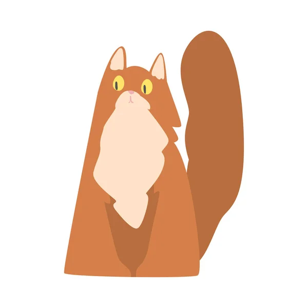 Ginger Cat fofo como ilustração doméstica peluda do vetor do animal de estimação — Vetor de Stock