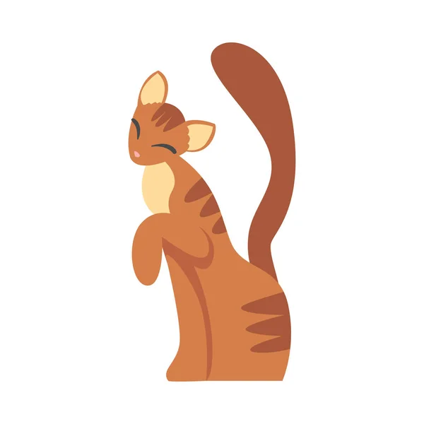 Gatto zenzero con cappotto liscio come peloso domestico animale domestico vettoriale illustrazione — Vettoriale Stock