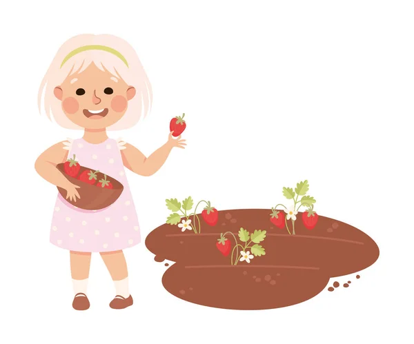 Little Blond Girl in Her Childhood Picking Strawberries from Garden Bed Vector Illustration — Stock Vector