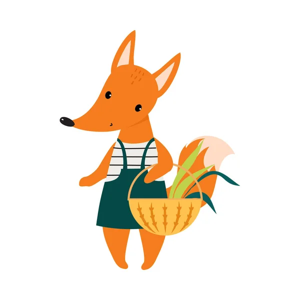 Roztomilá pomerančová liška jako lesní zvíře kráčející s proutěným košíkem vektorové ilustrace — Stockový vektor