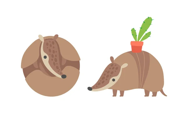 Lindo personaje de Armadillo con armadura cáscara acurrucada y llevando cactus en maceta en su conjunto de vectores de espalda — Vector de stock