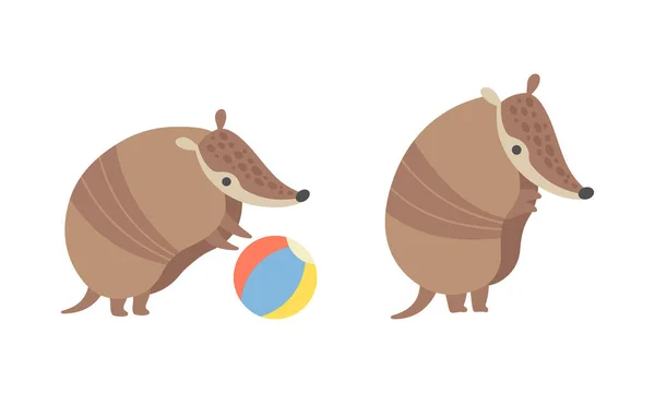 Personagem Armadillo bonito com armadura Shell jogando com bola e conjunto de vetores em pé — Vetor de Stock