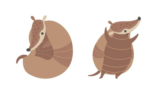 Cute Armadillo znak z pancerza Shell zwinięty i stojący wektor zestaw — Wektor stockowy