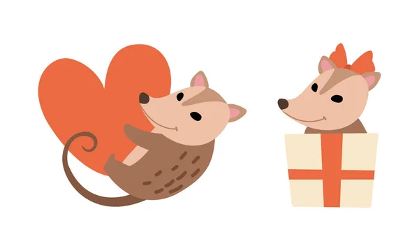 Cute Opossum Animal Holding Red Heart and Peeping Out from Gift Box Vector Set — Stock Vector