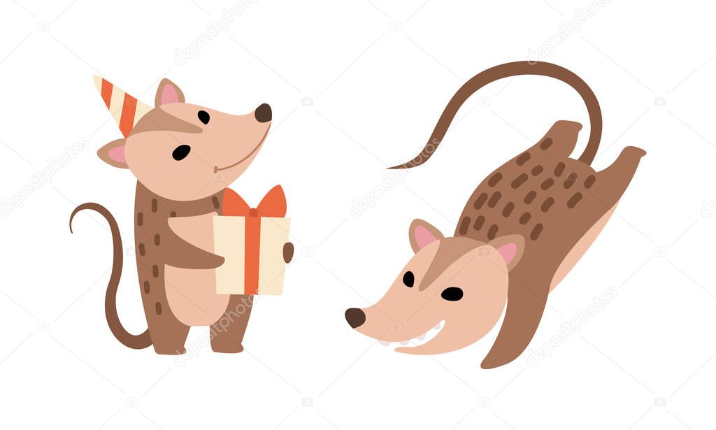 Cute Opossum Animal Holding Gift Box and Jumping Vector Set