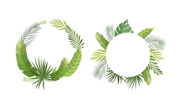 Rund formad ram med gröna tropiska blad och Jungle Foliage Vector Set — Stock vektor