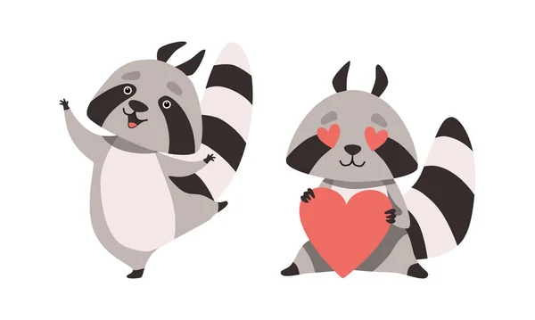 Funny Raccoon Animal Character with Striped Tail Dancing and Holding Red Heart Vector Set — Stock Vector