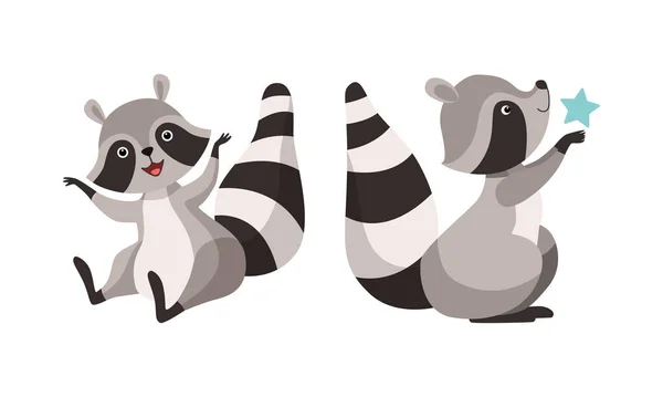 Funny Raccoon Animal Character with Striped Tail Sitting with Star Vector Set — Stock Vector