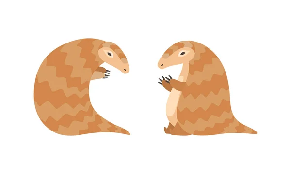 Pangolin of Scaly Anteater met Klauwpoot Zittende Vector Set — Stockvector