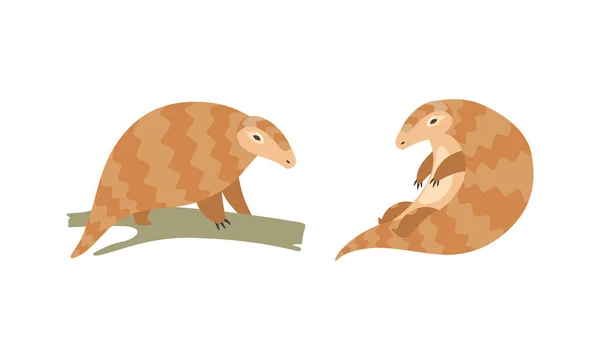 Pangolín o Anteater escamoso con garra en la pata sentado en el conjunto de vectores de rama de árbol — Vector de stock